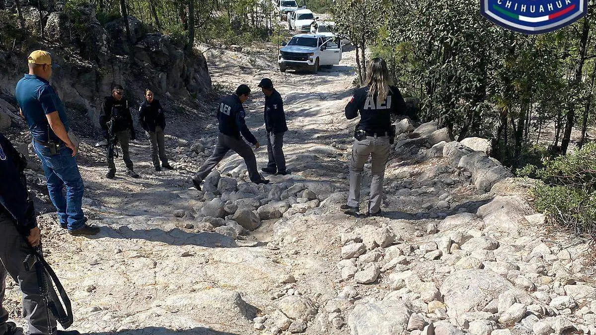 Busqueda de Rosita y Eduardo