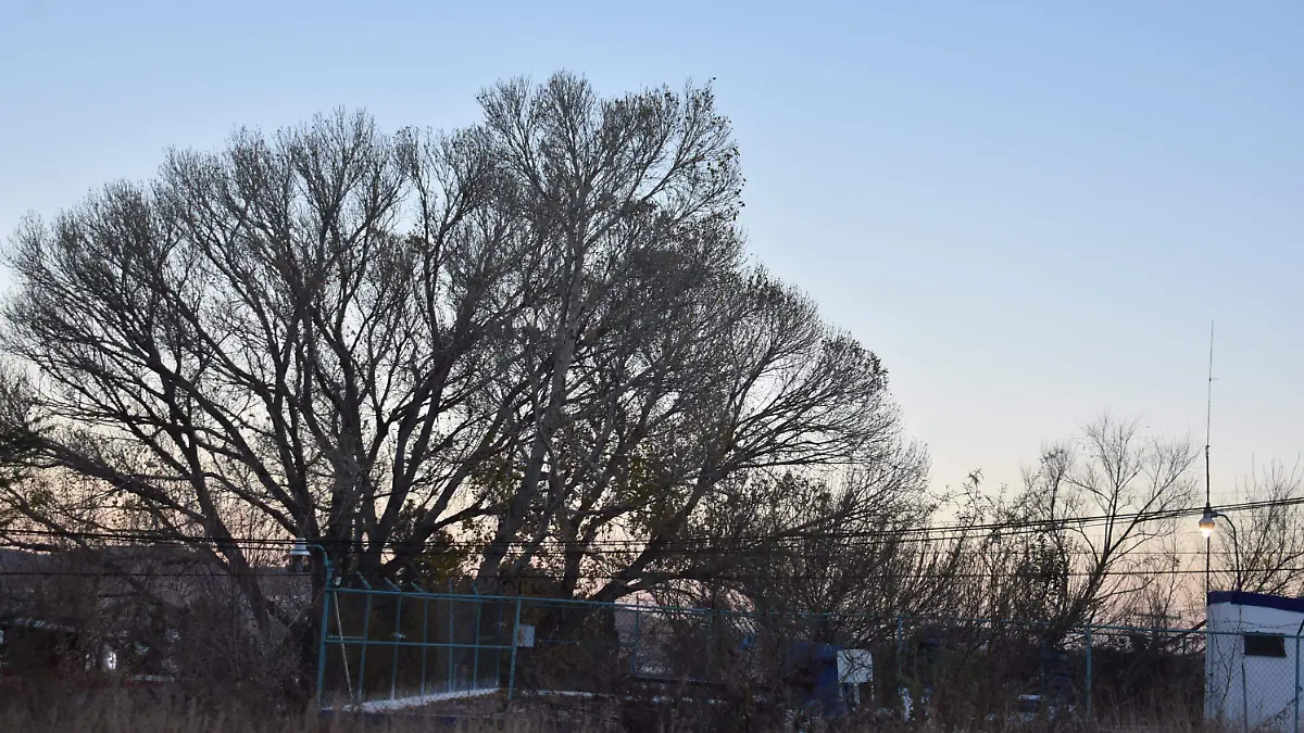 clima 2 -07 de enero