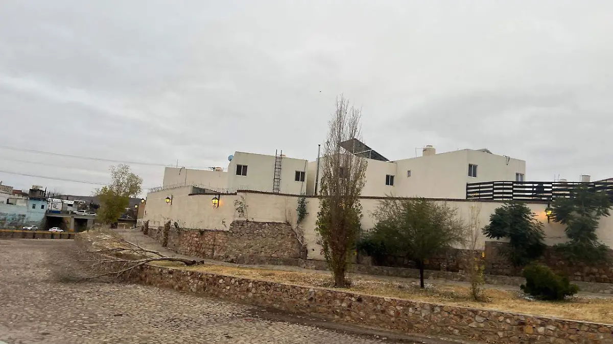Árbol caído en el parque Lineal a la altura de la colonia Talleres 2
