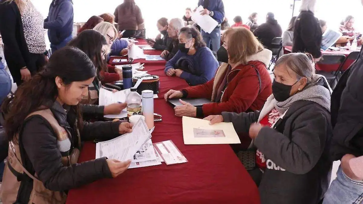 programas secretaria