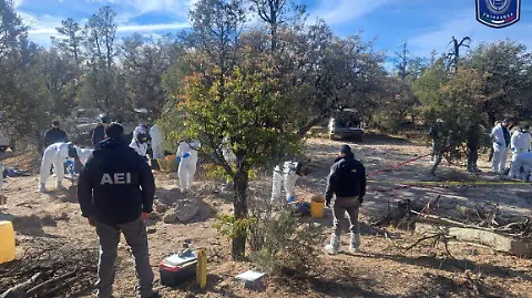 Aseguran 19 cuerpos más en fosas clandestinas de Casas Grandes; suman 45  los restos exhumados en un mes - El Heraldo de Chihuahua | Noticias  Locales, Policiacas, de México, Chihuahua y el Mundo