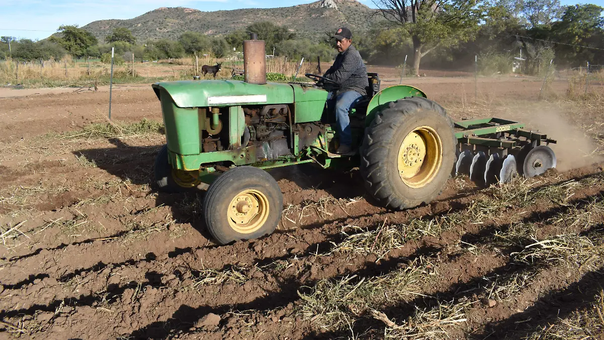rural 7 nota de marcos