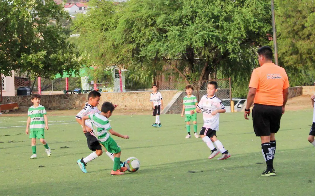 Copa Santos