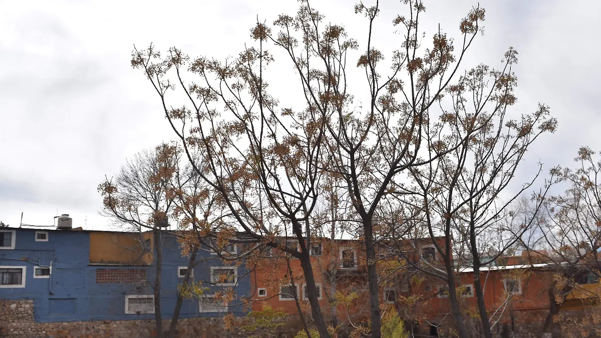 clima 5 -28 de enero