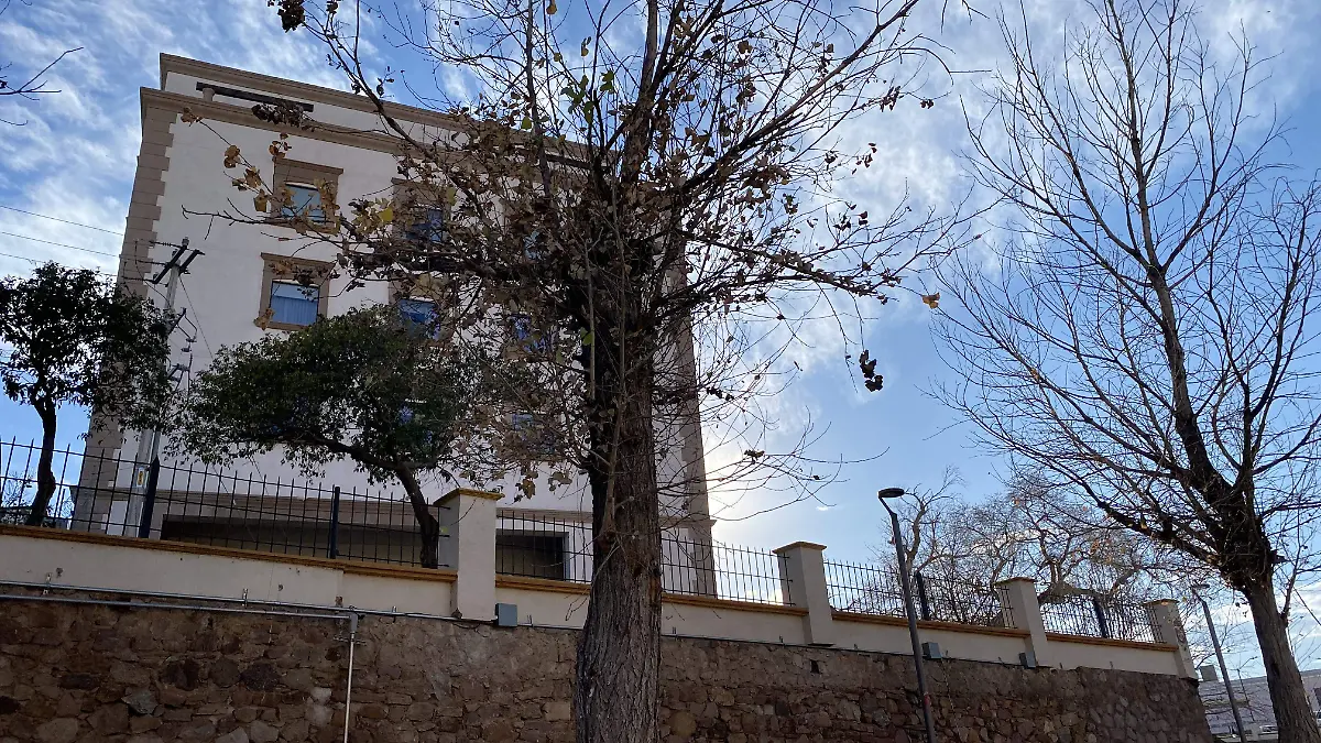 Árbol seco en parque lineal 3