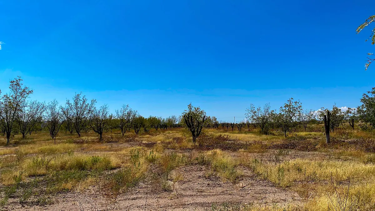 Nogaleras de Jiménez 3