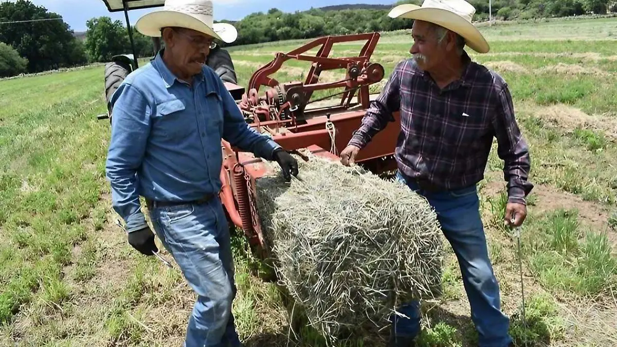 Jornaleros 2