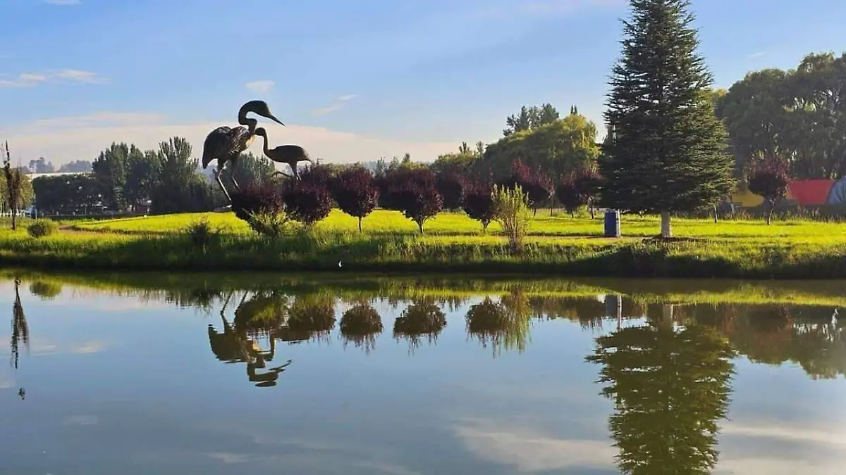 Lago de las garzas en Guachochi 