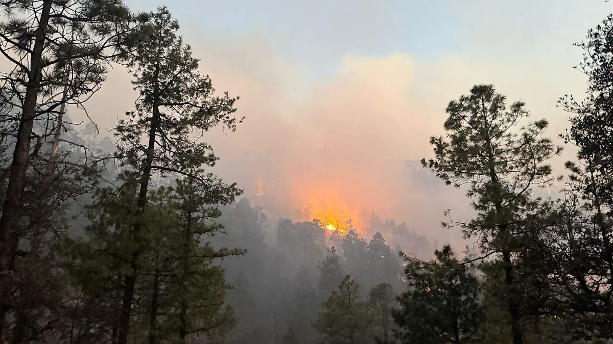 Incendio forestal en Guadalupe y Calvo