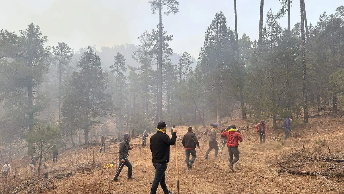 Empleados de Presidencia Municipal de Guadalupe y Calvo en labores para combatir incendio