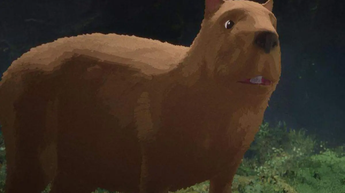 capibara flow