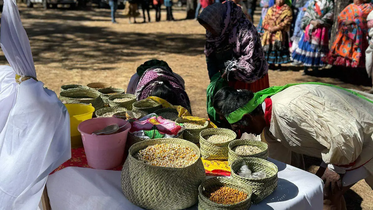 Autoconsumo de familias rarámuri en riesgo por sequía
