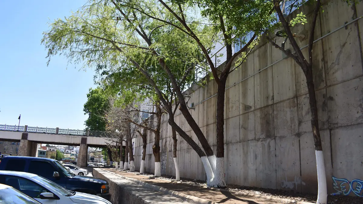 botes 5 Se colocarán depósitos para la basura en el centro de la ciudad, la avenida independencia y el parque lineal es de los sectores del centro donde la gente tira más basura.