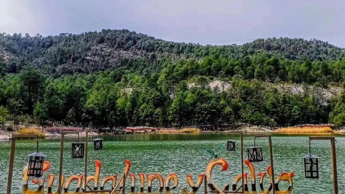 b0439e55-05b3-46fc-bedb-91328f0c00c9