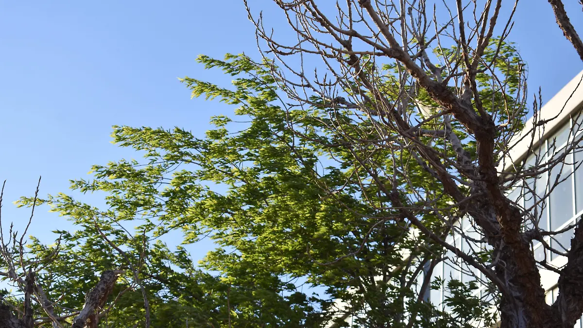 clima 4 -30 de marzo