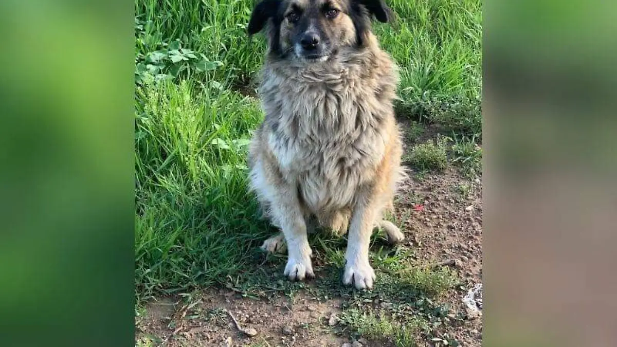 ASOCIACION- CORTESIA GAREA NAMUTI ENAMI (5)