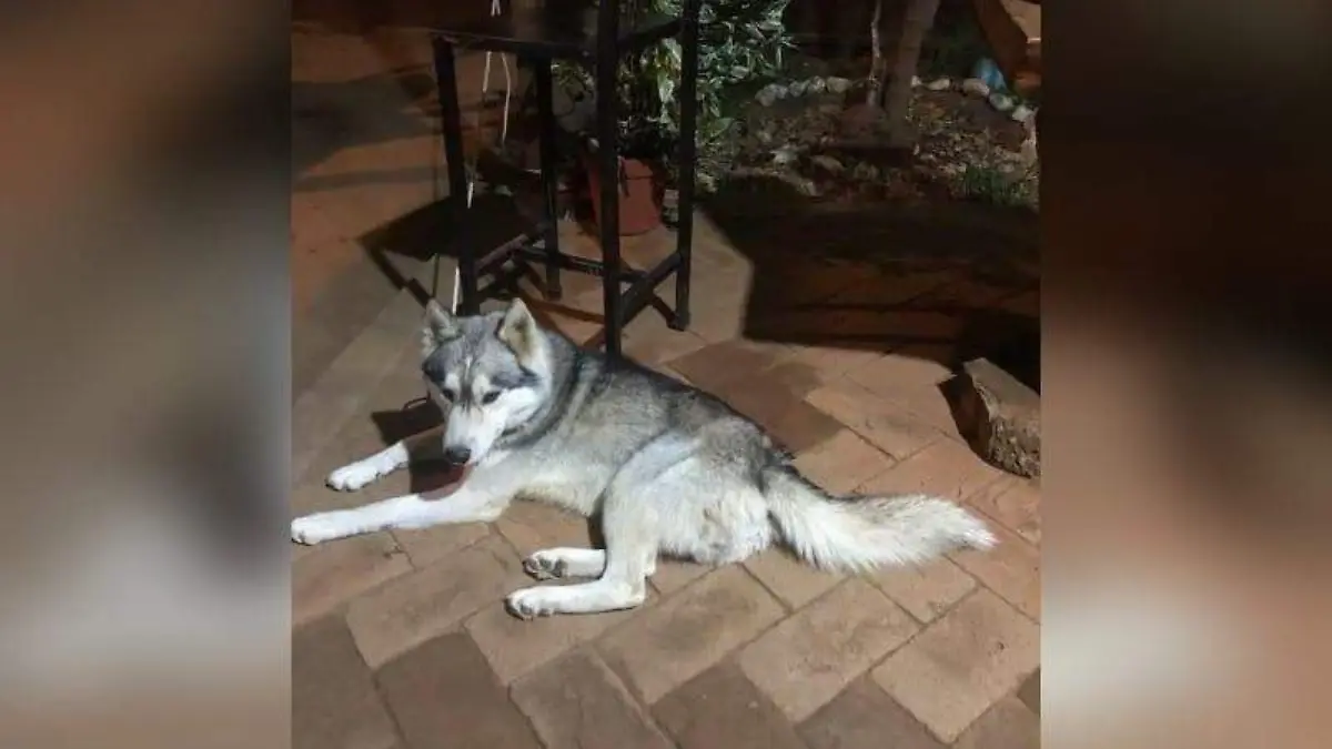 ASOCIACION- CORTESIA GAREA NAMUTI ENAMI (4)