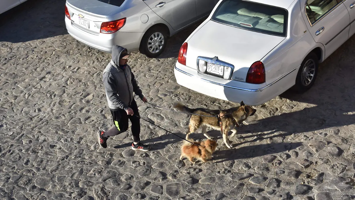 clima 2 -08 de abril