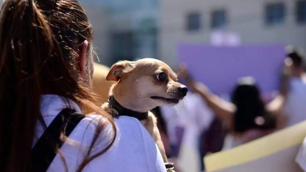 MARCHA