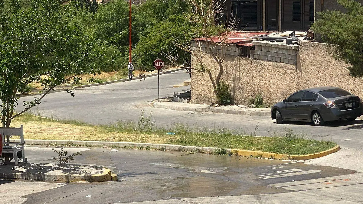 fgua en la reforma foto luis murillo