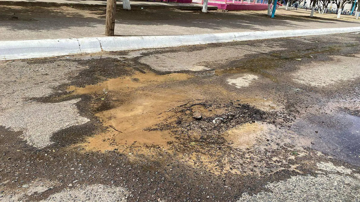 fuga de agua en el parque