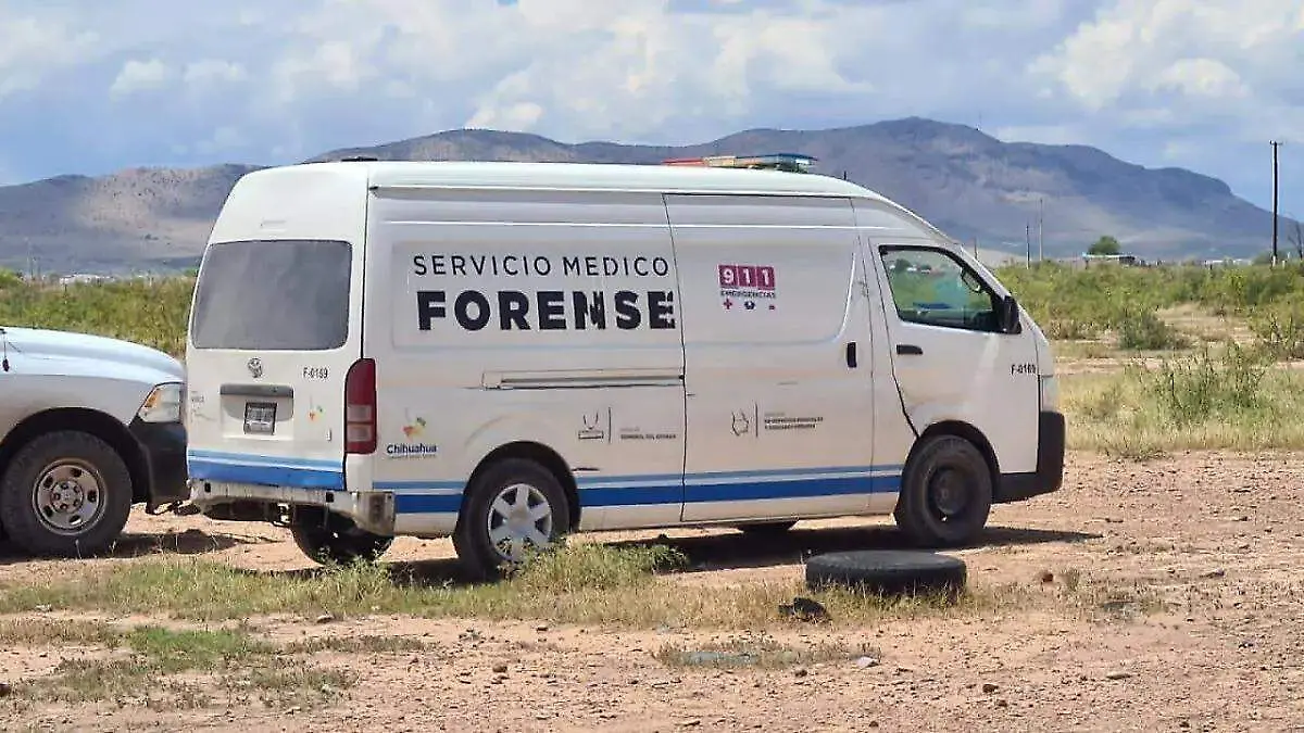 Semefo 1