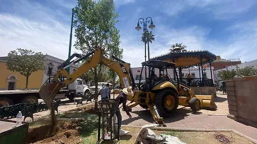 árboles