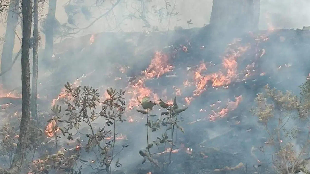 incendio de el tamborillo foto cortesia elena jabalera2