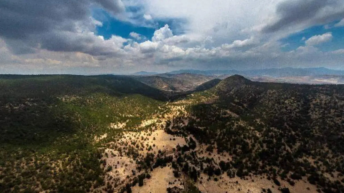sierra