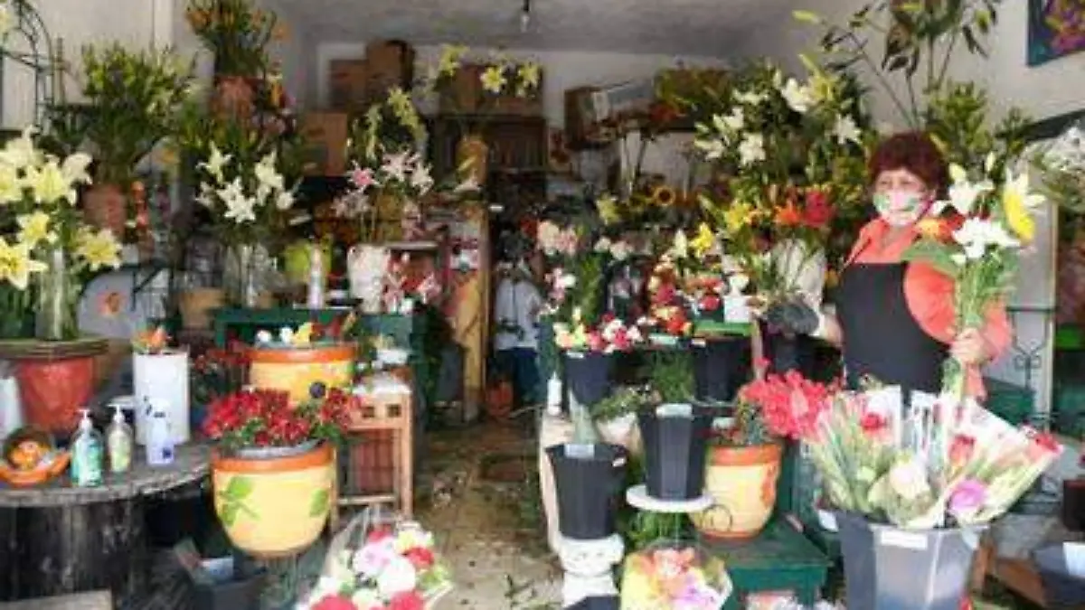 ventas jim archivo OEM