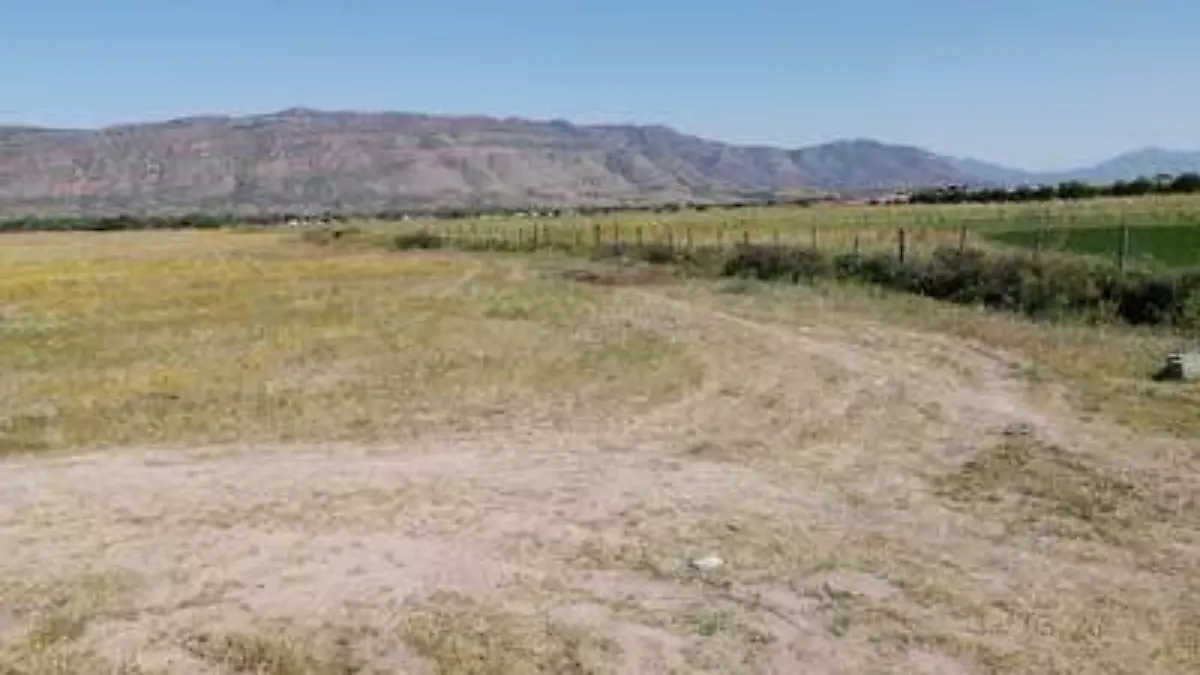 AGRICOLA EL SOL DE PARRAL