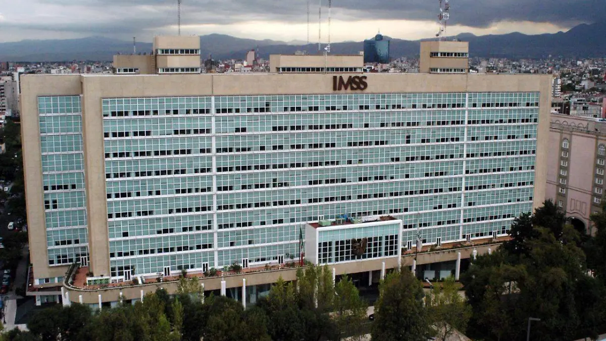imss 2