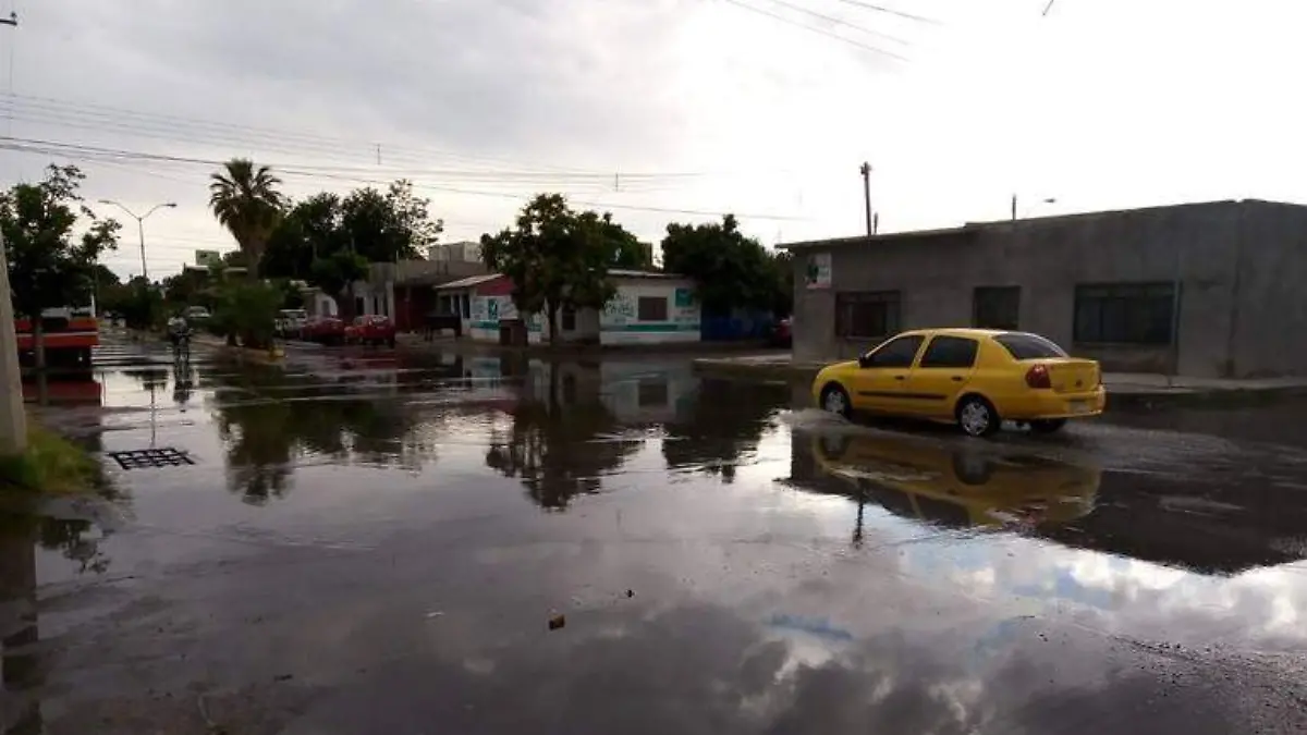lluvia Coronado