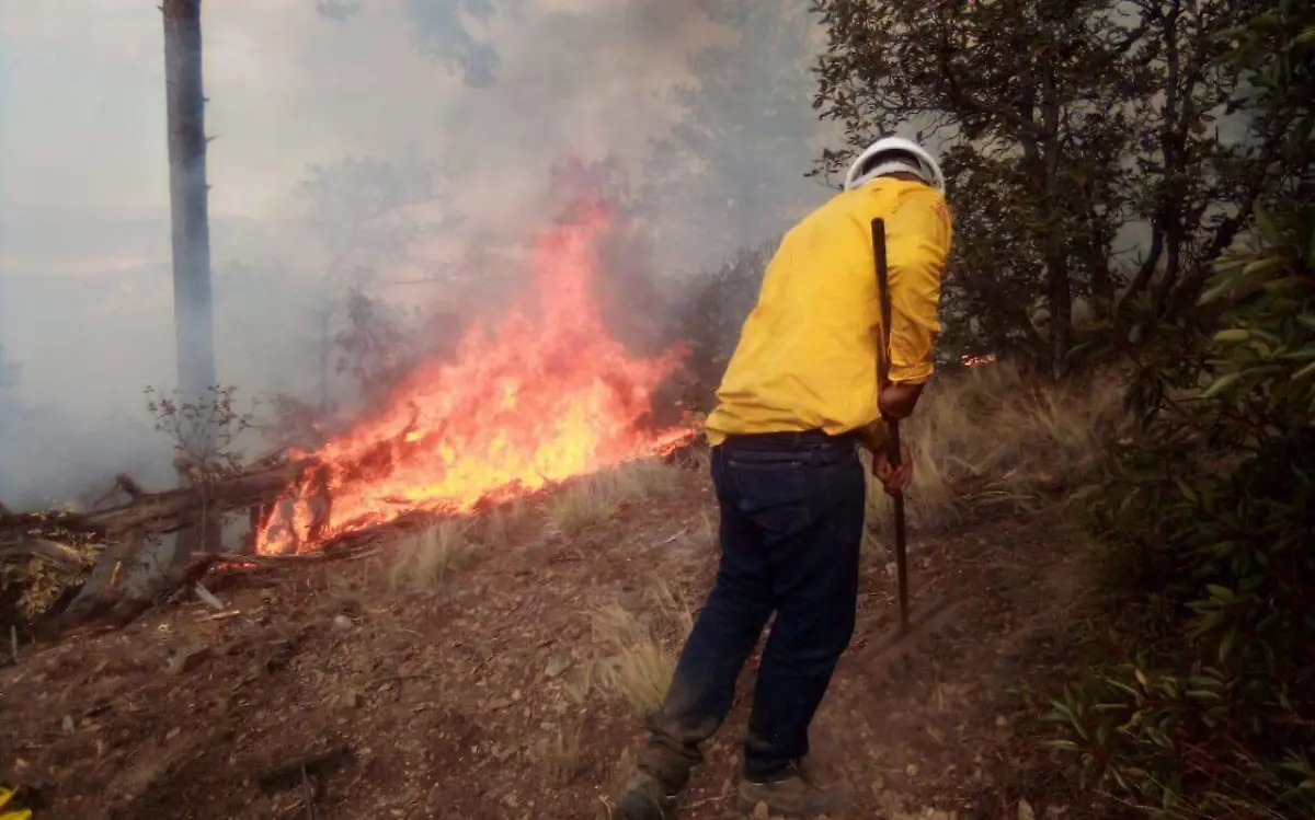 incendio