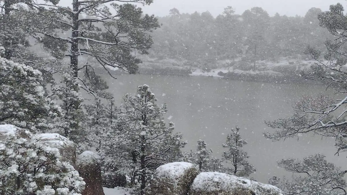 Nevada Sierra