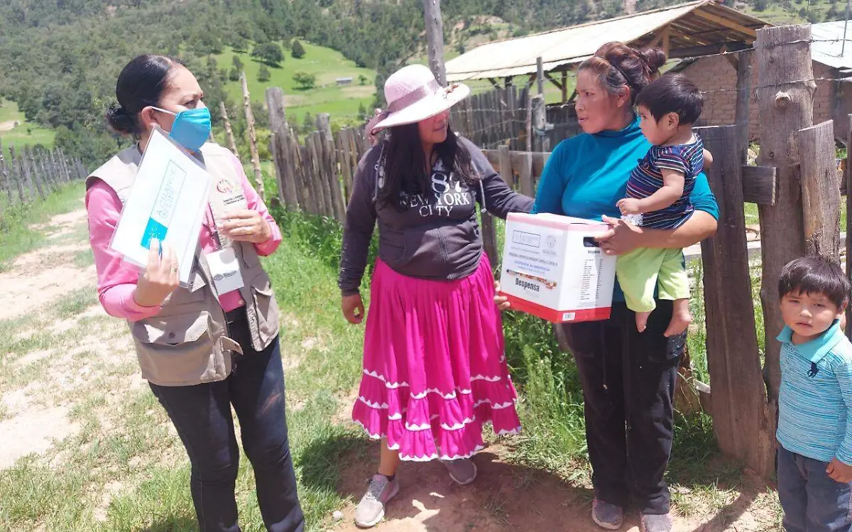 APOYOS CORTESIA DIF GADALUPE Y CALVO