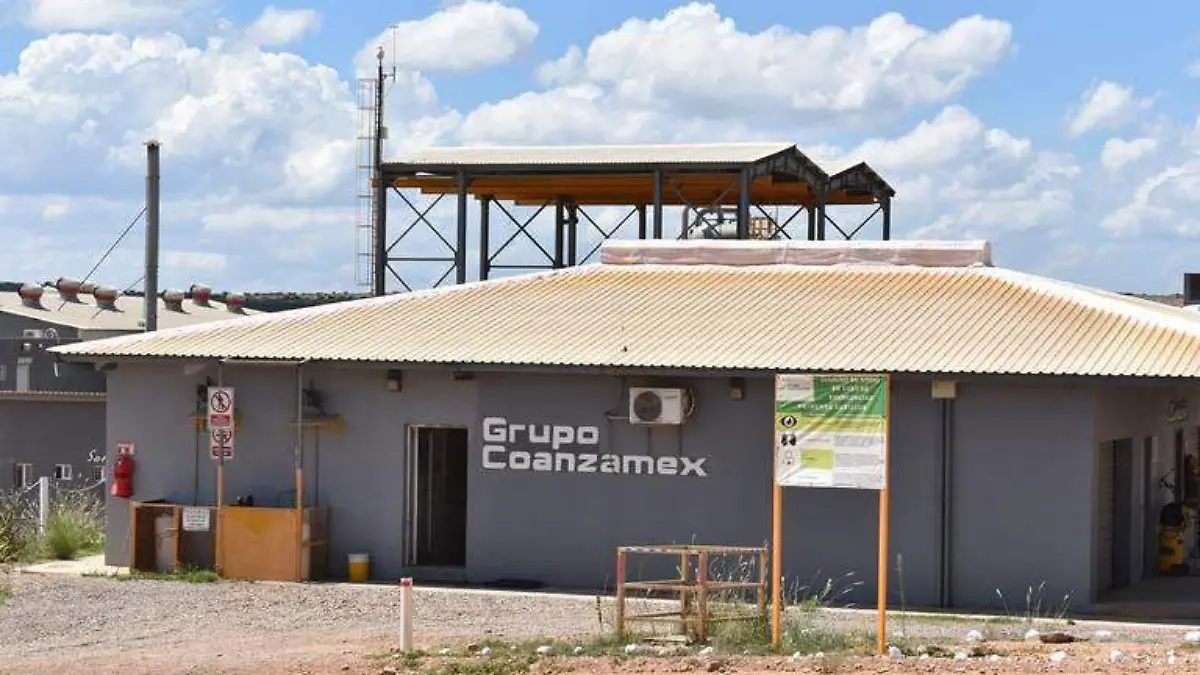 coanzamex