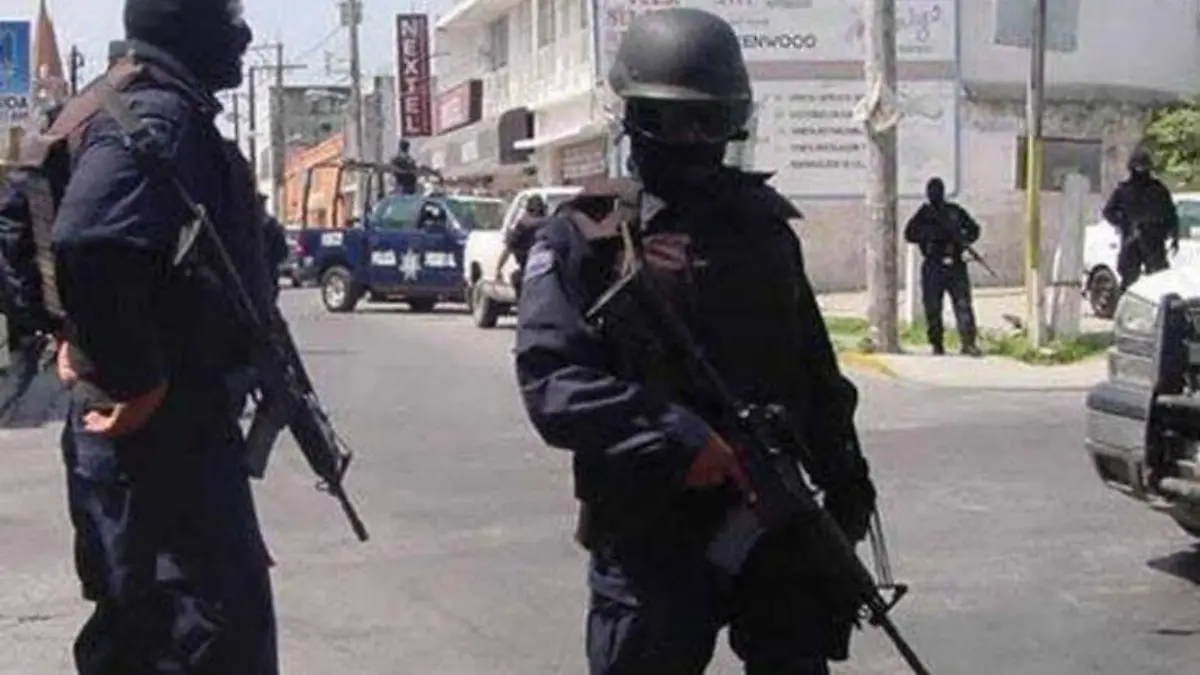 elementos de seguridad