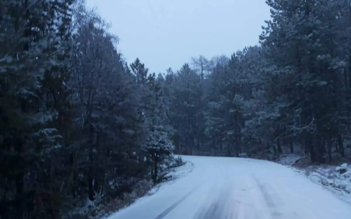 Nieve Carretera Guadalupe y Calvo