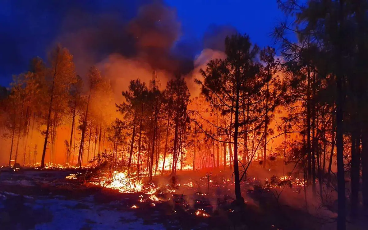 incendio-forestal