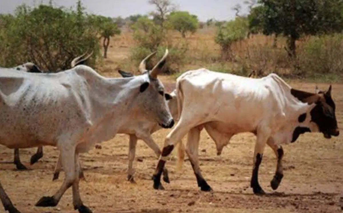 agricultura y ganaderia