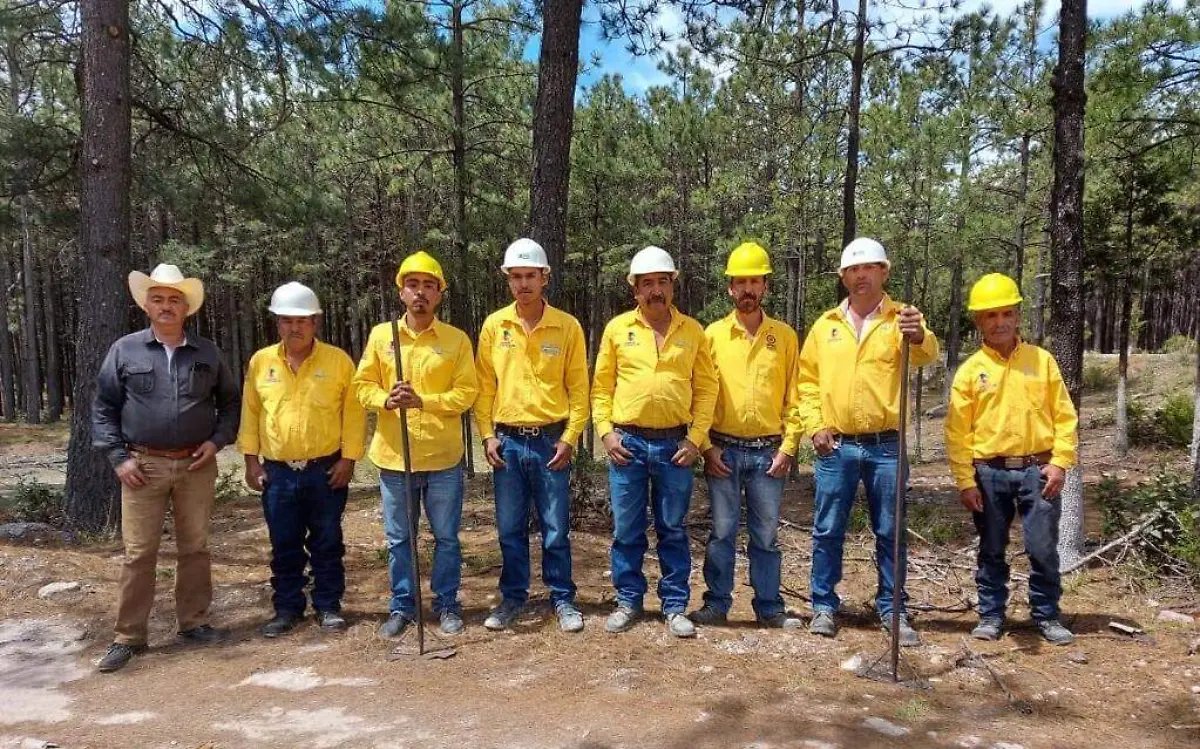 brigadistas