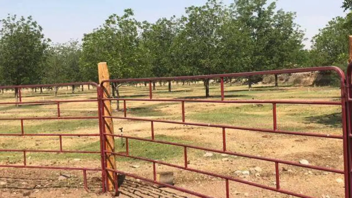 RANCHO DUARTE 3