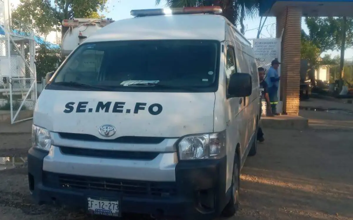 semefo