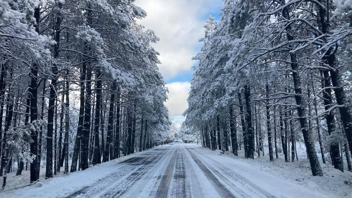 nevada-sierra