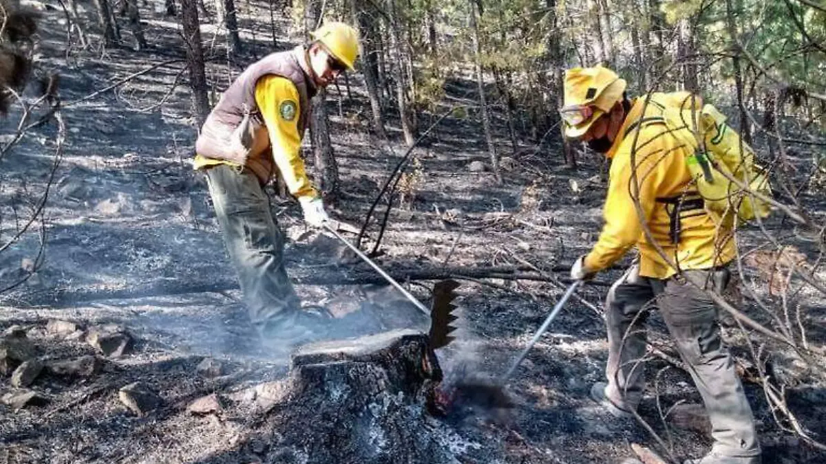 incendioschihuahua2