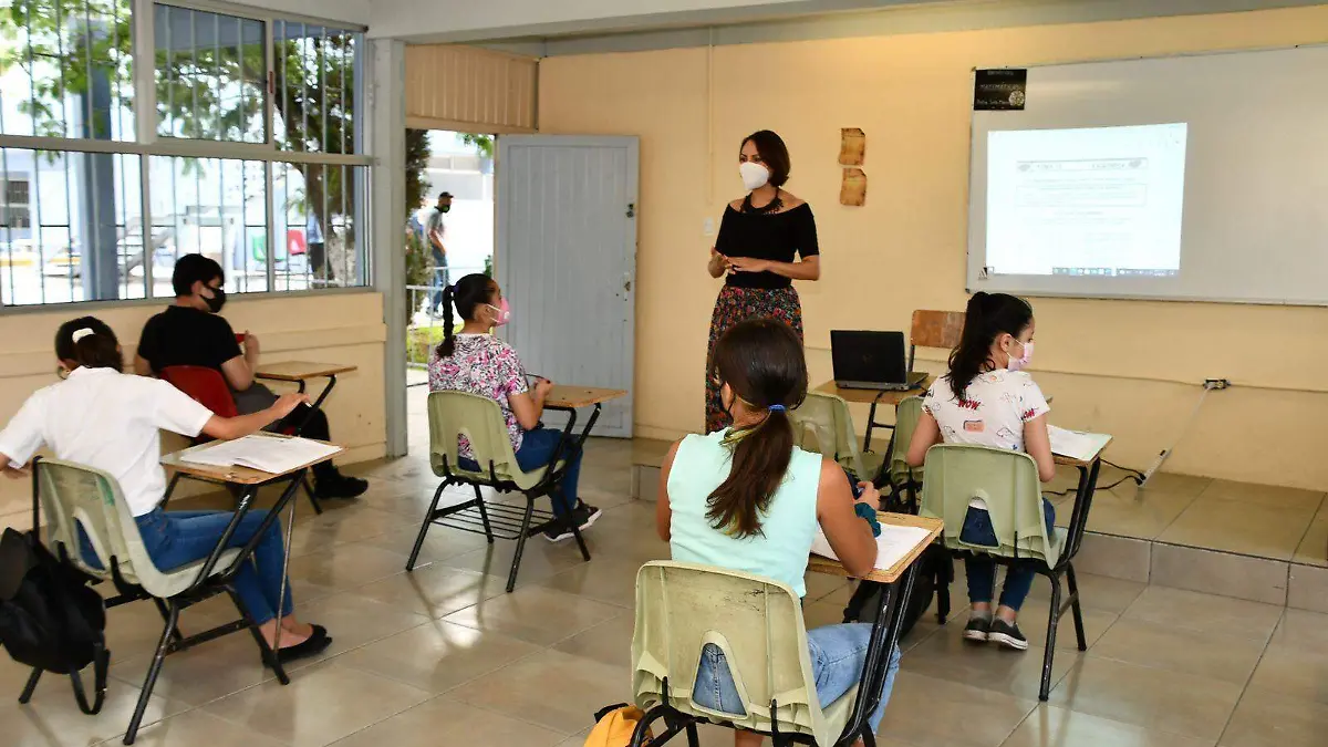 docentes
