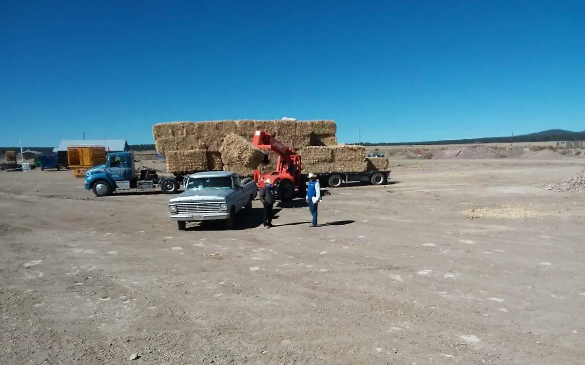 desarrollo rural