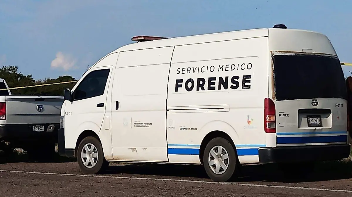 forense