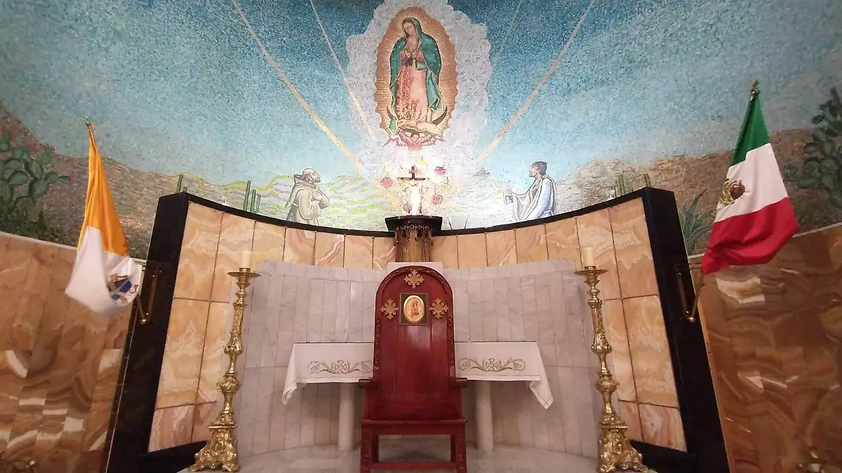 IMG_20201024_091632729_2